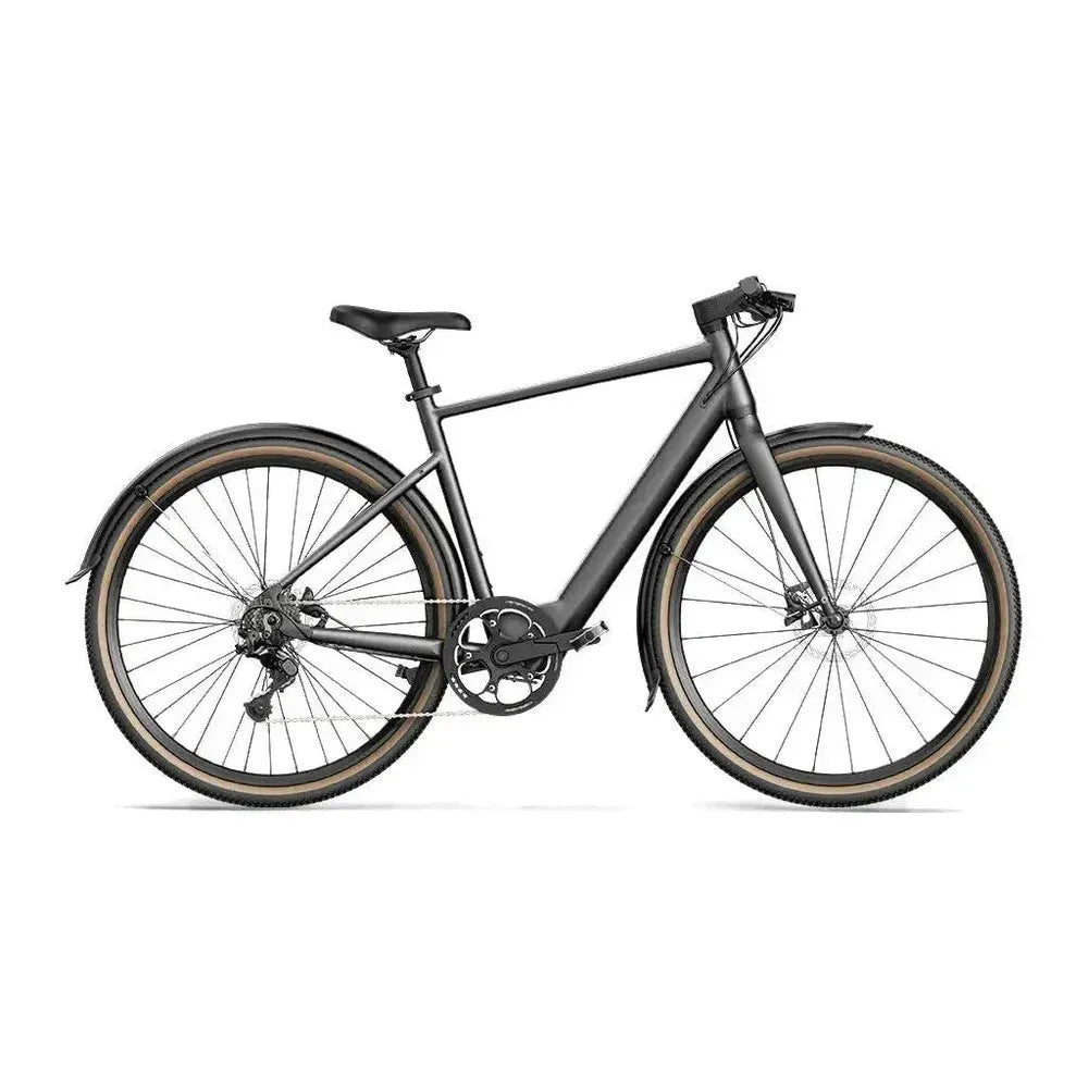 Fiido C21 - Gray