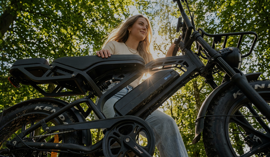 Your fatbike. Up to 25 km/h. Delivered free.