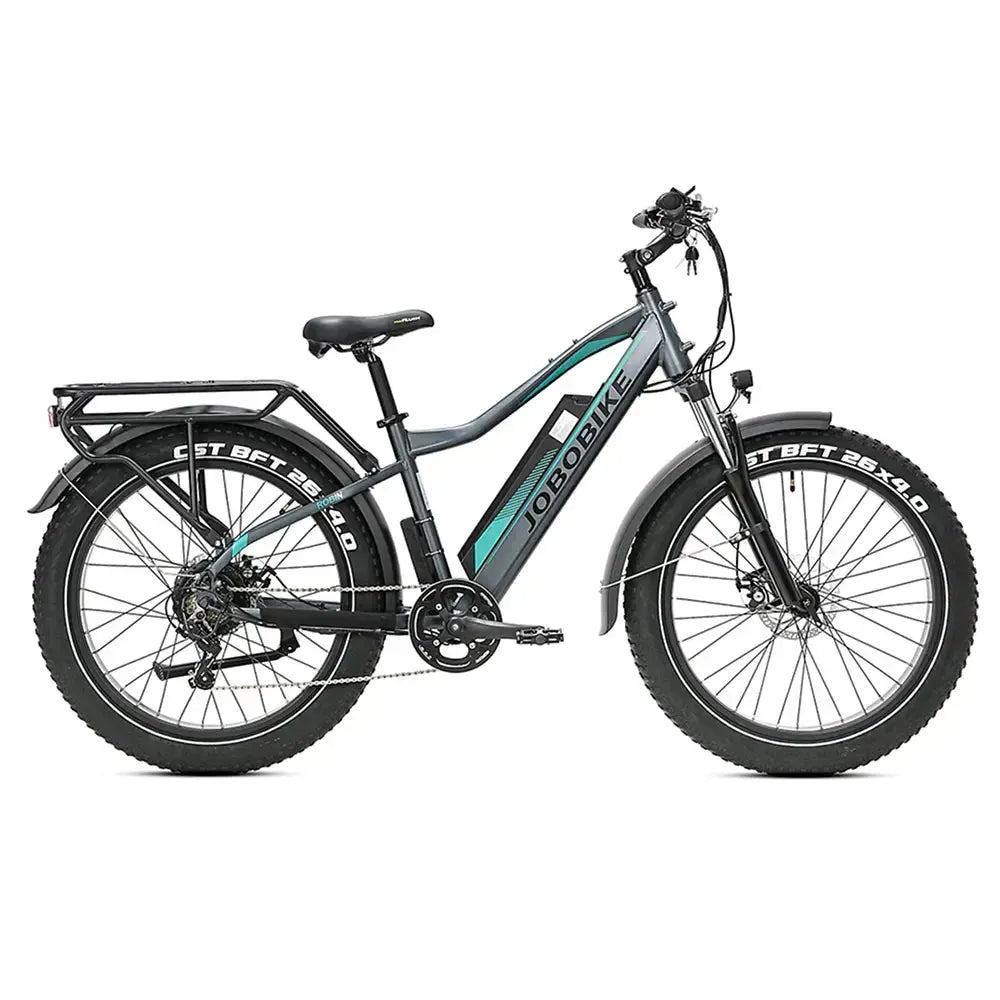 JOBOBIKE Robin - Gray/Green