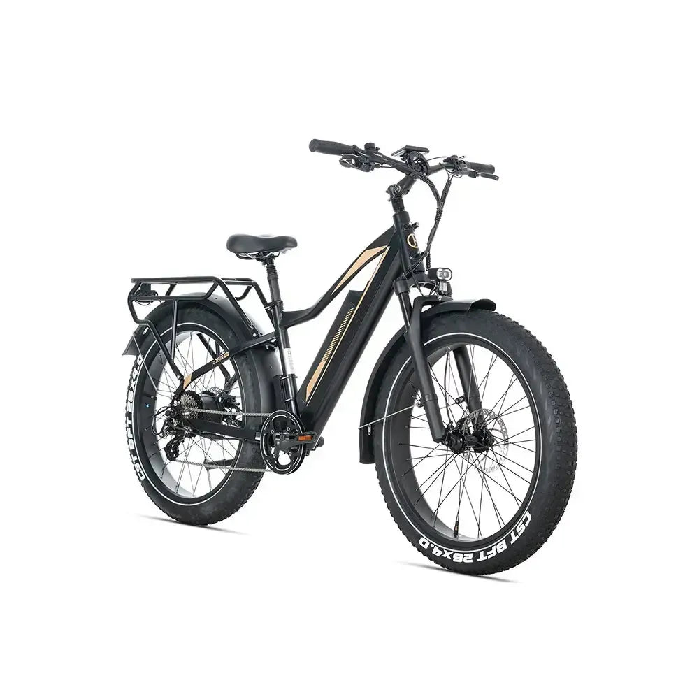 JOBOBIKE Robin Pro - Black-Gold