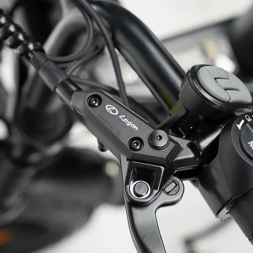 OUXI C80 - Fatbike - Negro