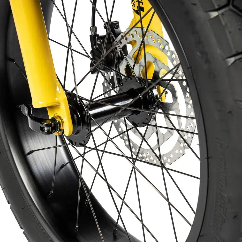 Ruff Cycles Lil'Missy - Baby B
