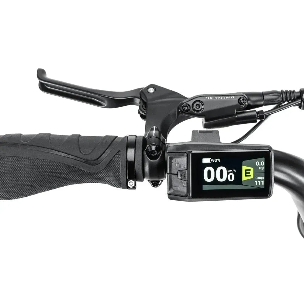 STOER Bikes Urban X - Fatbike - Groen