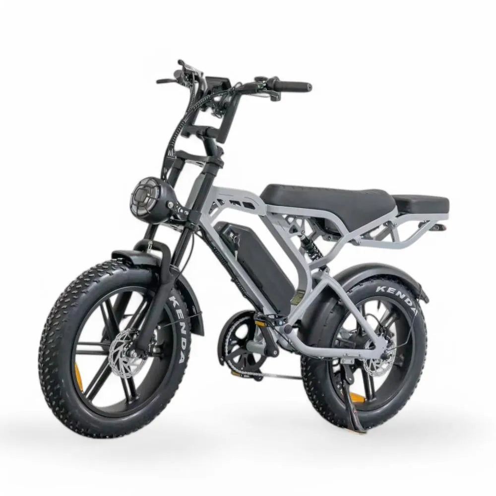 V20 Pro 5.0 Gris - Fatbike - Frenos hidráulicos