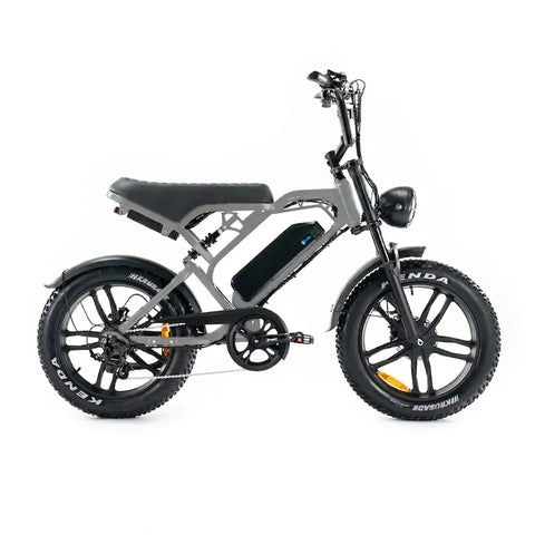 V20 Pro 5.0 Gris - Fatbike - Frenos hidráulicos