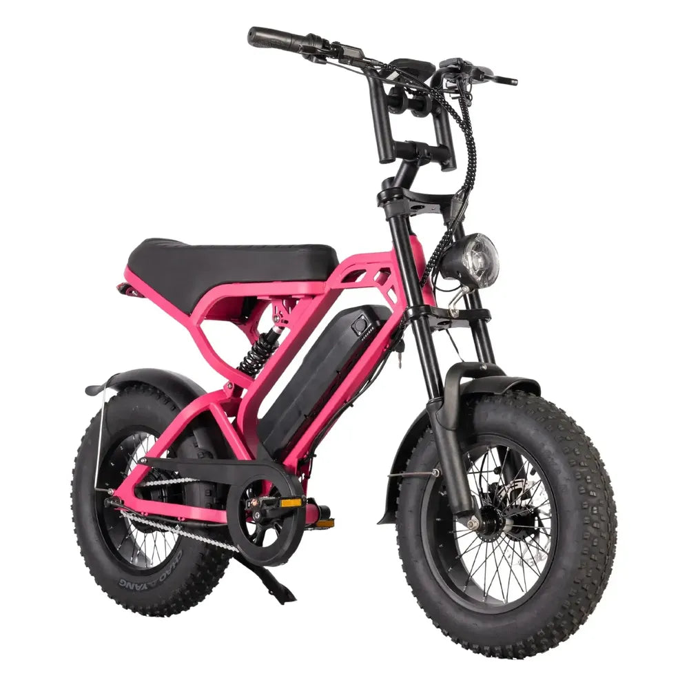 V20 Mini - Roze - Fatbike