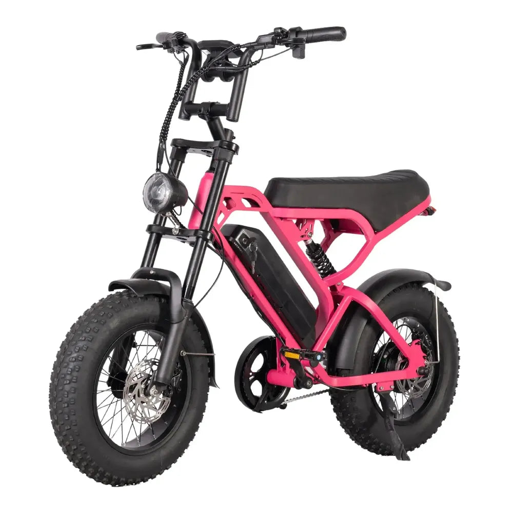 V20 Mini - Roze - Fatbike