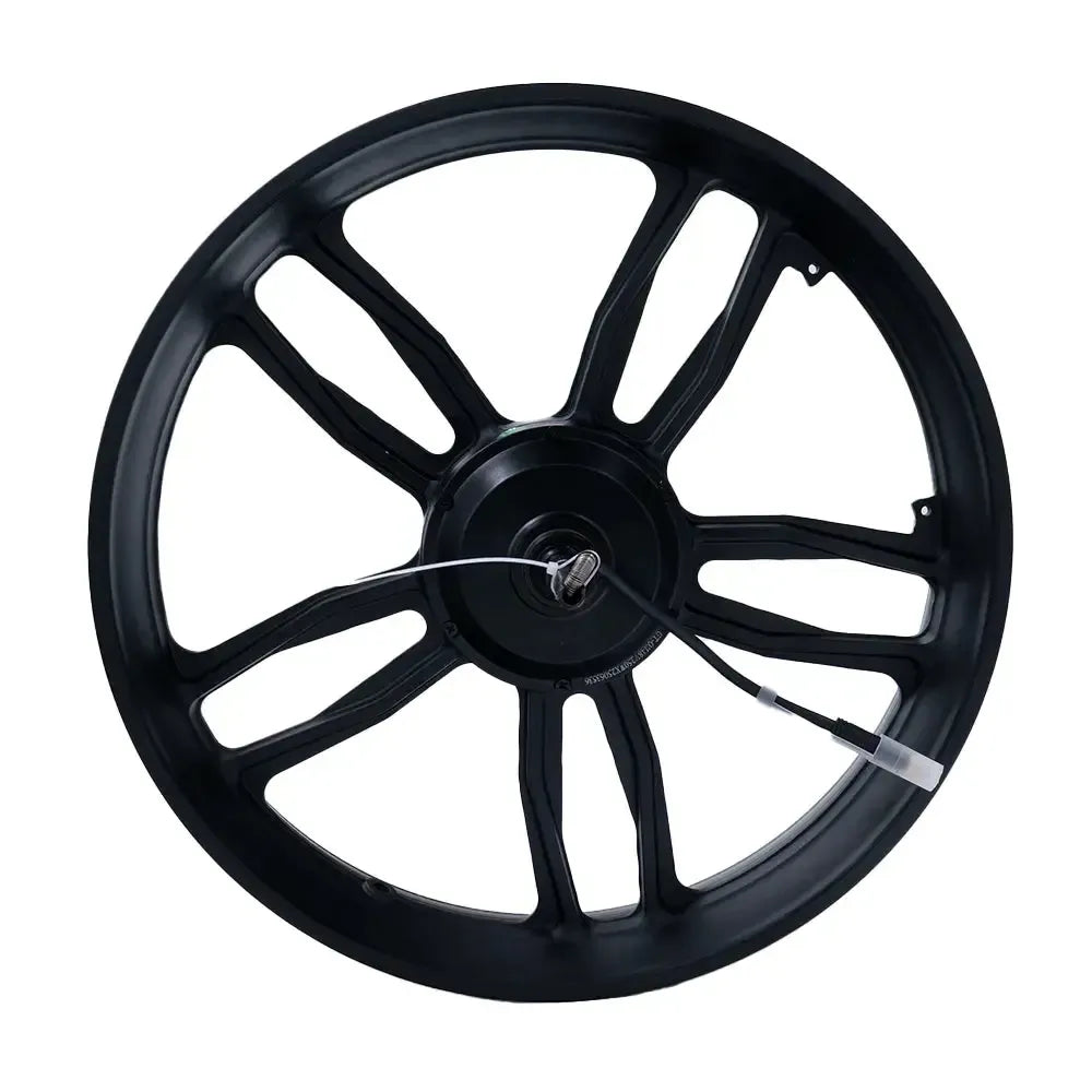 V20/S20 - Motor - With Rim - 250 watt - black cable